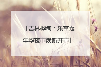 吉林桦甸：乐享嘉年华夜市焕新开市