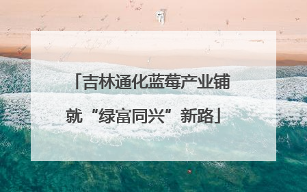 吉林通化蓝莓产业铺就“绿富同兴”新路