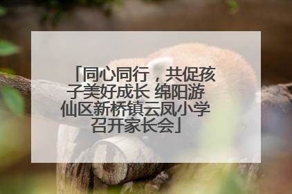 同心同行，共促孩子美好成长 绵阳游仙区新桥镇云凤小学召开家长会