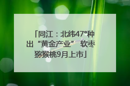 同江：北纬47°种出“黄金产业” 软枣猕猴桃9月上市