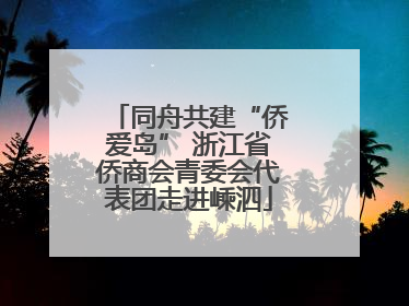 同舟共建“侨爱岛” 浙江省侨商会青委会代表团走进嵊泗