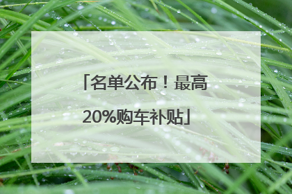 名单公布！最高20%购车补贴