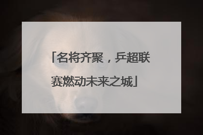 名将齐聚，乒超联赛燃动未来之城