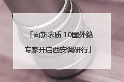 向新求质 10国外籍专家开启西安调研行