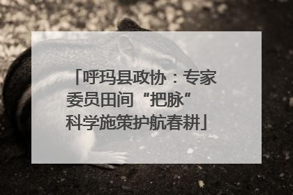 呼玛县政协：专家委员田间“把脉” 科学施策护航春耕