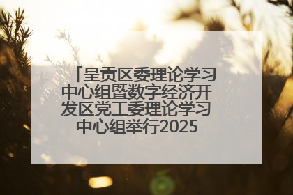 呈贡区委理论学习中心组暨数字经济开发区党工委理论学习中心组举行2025年第七次学习会议