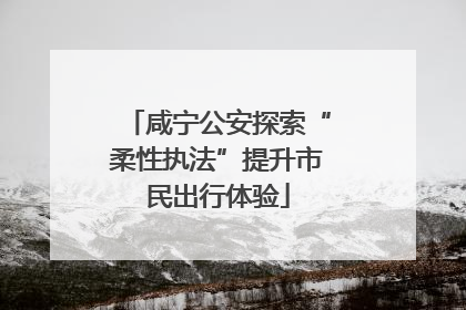 咸宁公安探索“柔性执法”提升市民出行体验