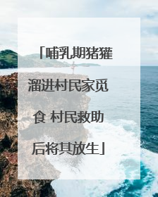 哺乳期猪獾溜进村民家觅食 村民救助后将其放生
