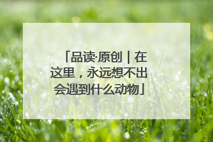 品读·原创｜在这里，永远想不出会遇到什么动物