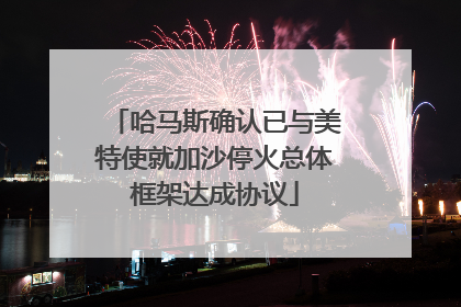 哈马斯确认已与美特使就加沙停火总体框架达成协议