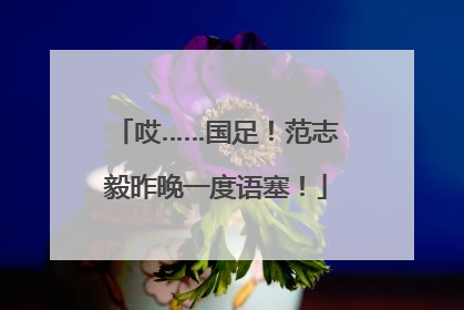 哎……国足！范志毅昨晚一度语塞！