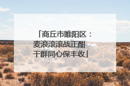 商丘市睢阳区：麦浪滚滚战正酣 干群同心保丰收