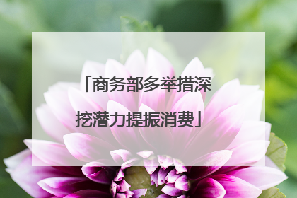 商务部多举措深挖潜力提振消费