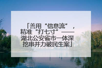 善用“信息流”，精准“打七寸”——湖北公安省市一体深挖串并力破民生案