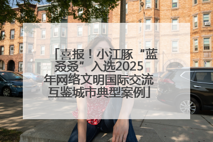 喜报！小江豚“蓝叒叒”入选2025年网络文明国际交流互鉴城市典型案例