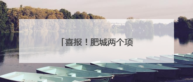 喜报！肥城两个项目入选省级目录