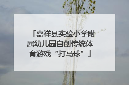 嘉祥县实验小学附属幼儿园自创传统体育游戏“打马球”