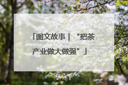 图文故事｜“把茶产业做大做强”