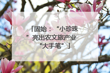 固始：“小珍珠”亮出农文旅产业“大手笔”