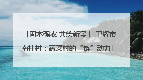 固本强农 共绘新景 ︳卫辉市南社村：蔬菜村的“链”动力