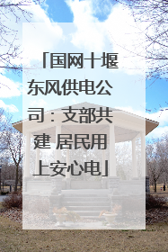 国网十堰东风供电公司：支部共建 居民用上安心电