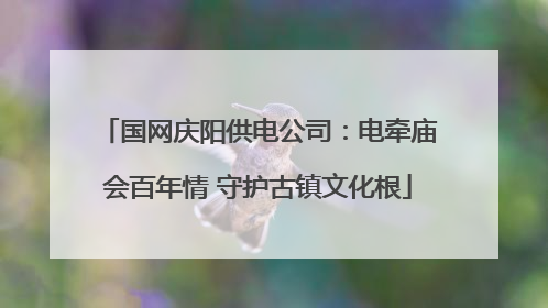 国网庆阳供电公司：电牵庙会百年情 守护古镇文化根
