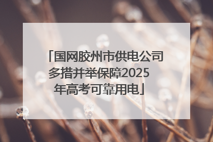 国网胶州市供电公司多措并举保障2025年高考可靠用电