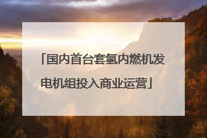 国内首台套氢内燃机发电机组投入商业运营