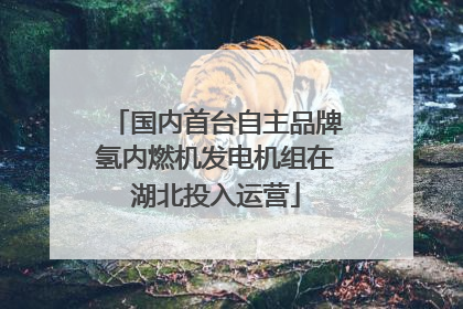 国内首台自主品牌氢内燃机发电机组在湖北投入运营