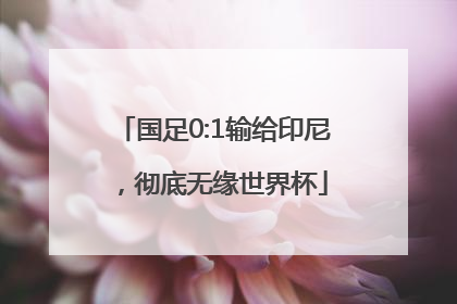 国足0:1输给印尼，彻底无缘世界杯