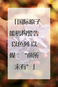 国际原子能机构警告以色列 以媒：“前所未有”