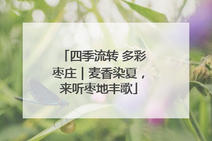 四季流转 多彩枣庄｜麦香染夏，来听枣地丰歌