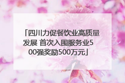 四川力促餐饮业高质量发展 首次入围服务业500强奖励500万元