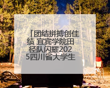 团结拼搏创佳绩 宜宾学院田径队闪耀2025四川省大学生田径赛场