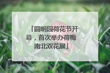 圆明园荷花节开幕，首次举办荷梅南北双花展