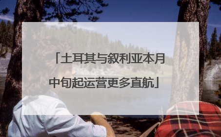 土耳其与叙利亚本月中旬起运营更多直航