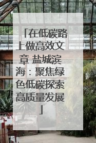 在低碳路上做高效文章 盐城滨海：聚焦绿色低碳探索高质量发展