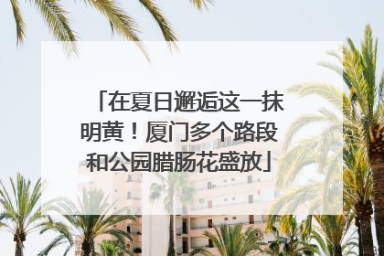 在夏日邂逅这一抹明黄！厦门多个路段和公园腊肠花盛放