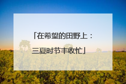 在希望的田野上：三夏时节丰收忙