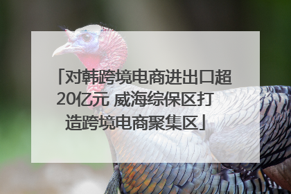 对韩跨境电商进出口超20亿元 威海综保区打造跨境电商聚集区