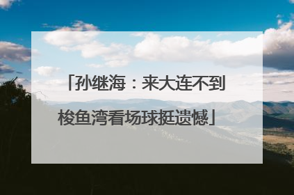 孙继海：来大连不到梭鱼湾看场球挺遗憾