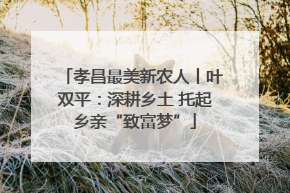 孝昌最美新农人丨叶双平：深耕乡土 托起乡亲“致富梦”
