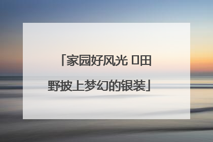家园好风光 ⎮田野披上梦幻的银装