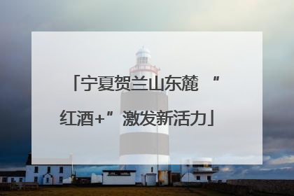 宁夏贺兰山东麓 “红酒+”激发新活力