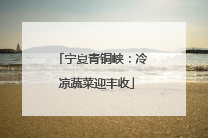 宁夏青铜峡：冷凉蔬菜迎丰收