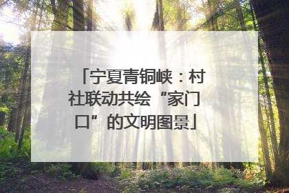 宁夏青铜峡：村社联动共绘“家门口”的文明图景