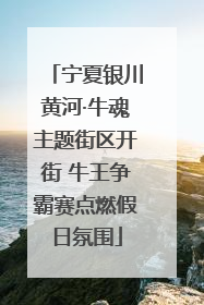 宁夏银川黄河·牛魂主题街区开街 牛王争霸赛点燃假日氛围