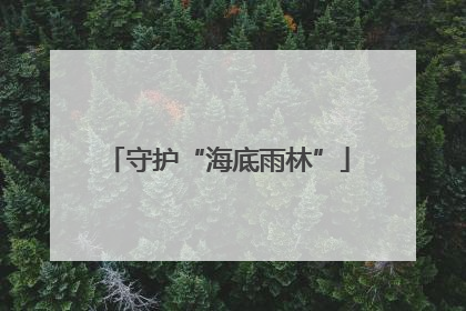 守护“海底雨林”