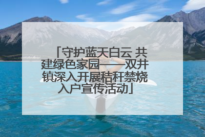 守护蓝天白云 共建绿色家园——双井镇深入开展秸秆禁烧入户宣传活动