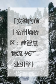 安徽向前丨宿州埇桥区：建智慧物流 兴产业引擎